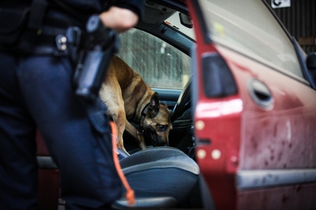 K9 Sniffing Car